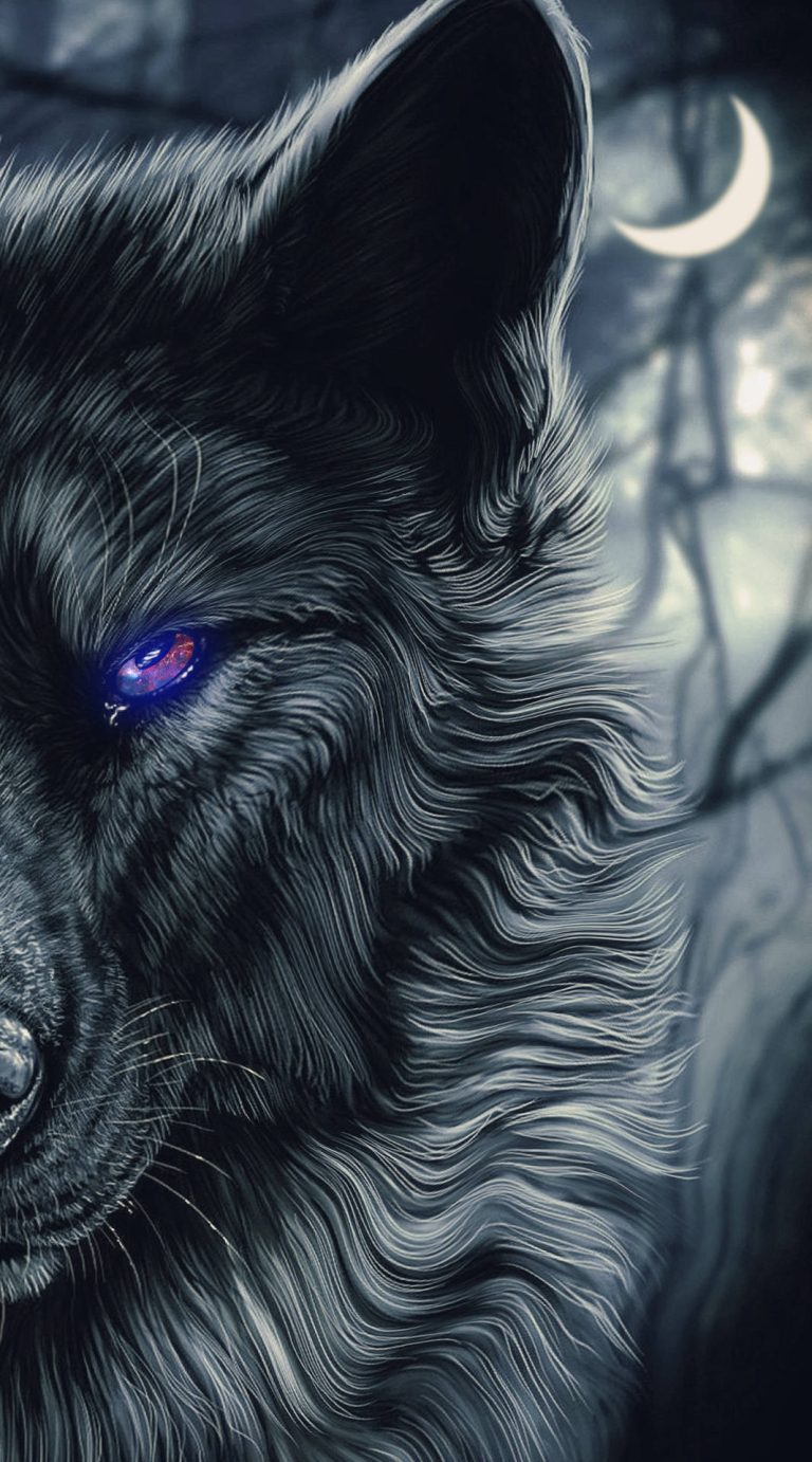 4K Black Wolf Wallpaper WhatsPaper