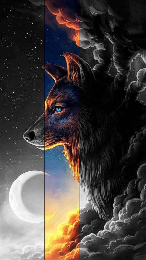 HD Black wolf Wallpaper 