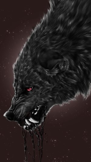 Black wolf Wallpaper 