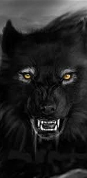 Black wolf Wallpaper