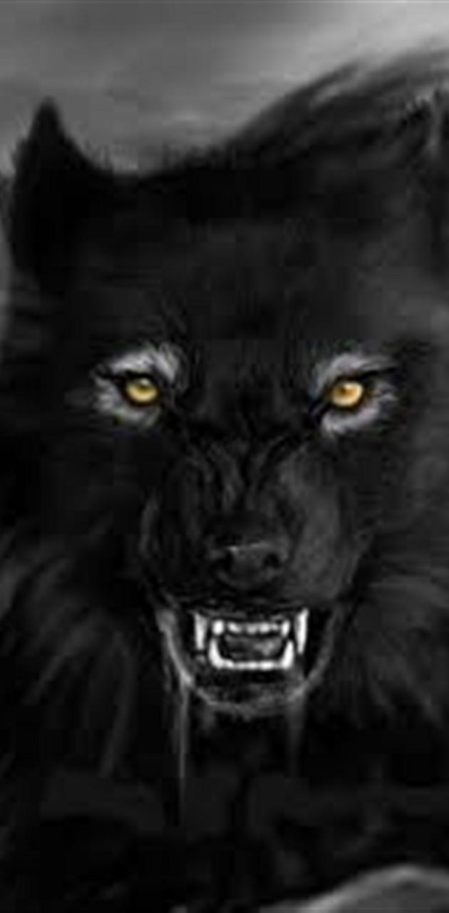 Black Wolf Wallpapers - Top 30 Best Black Wolf Wallpapers Download