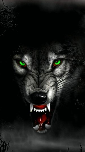 Black wolf Background 