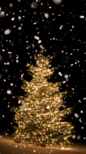 Christmas Tree Wallpaper