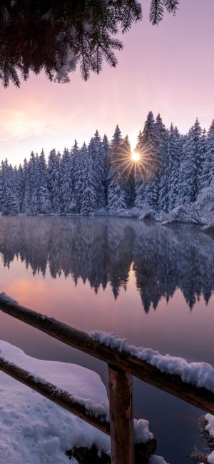 HD Winter Wallpaper 