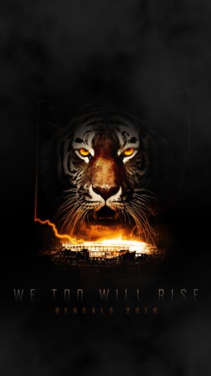 Bengals Wallpaper 