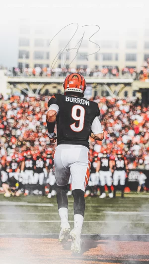 Bengals Background