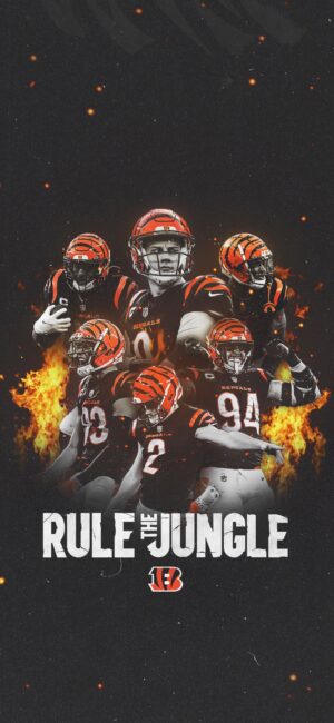 Bengals Background