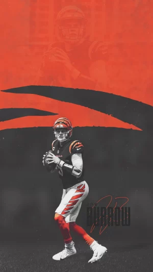 4K Cincinnati Bengals Wallpaper 