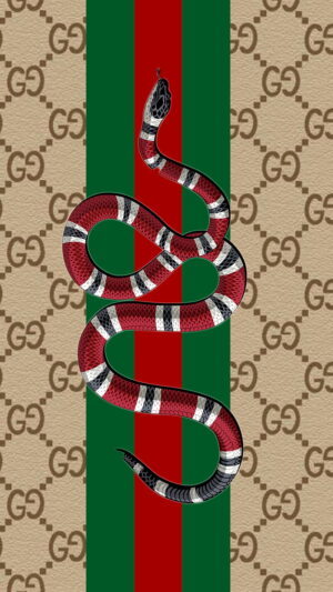 HD Gucci Wallpaper 