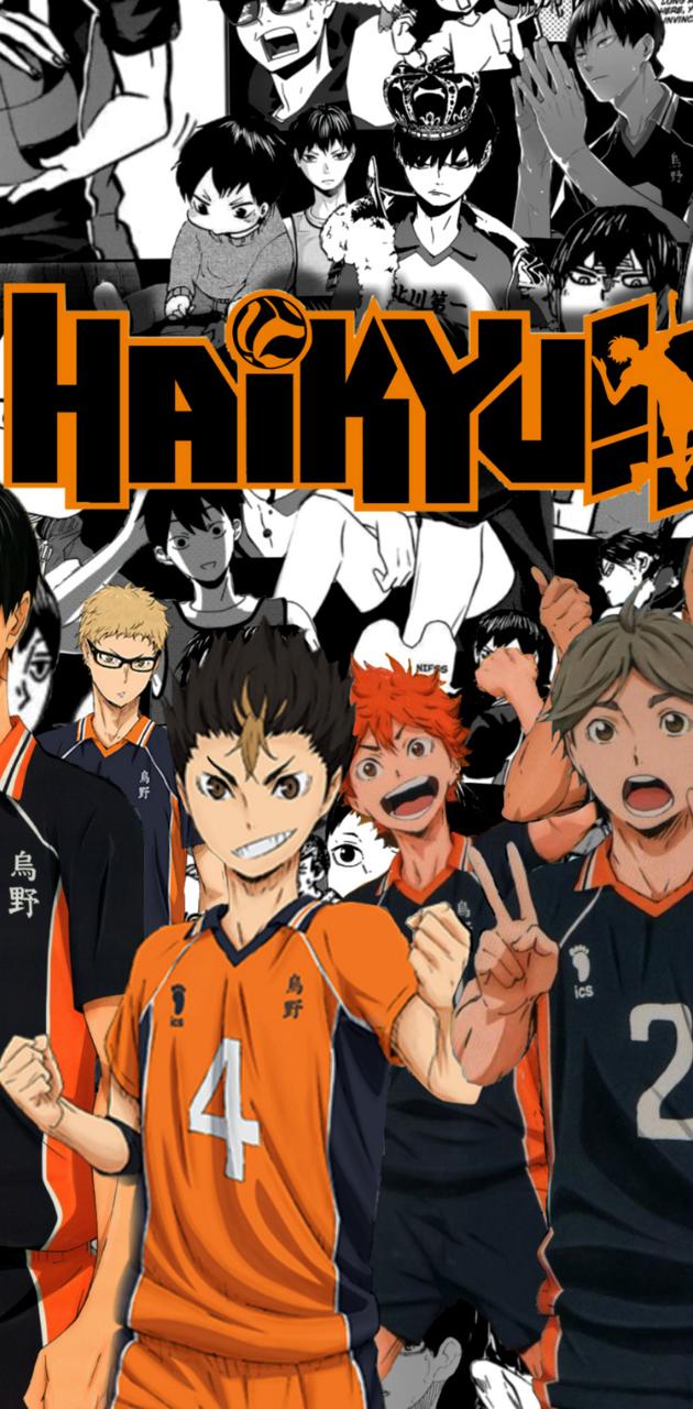 Haikyuu!!! Karasuno  Haikyuu wallpaper, Haikyuu, Haikyuu anime