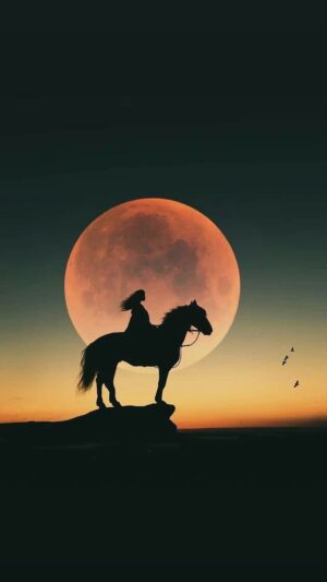 Horse Wallpaper 