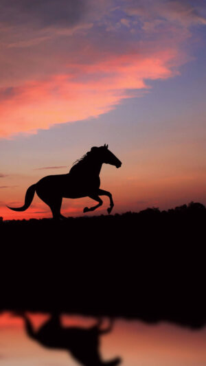 Horse Wallpaper 