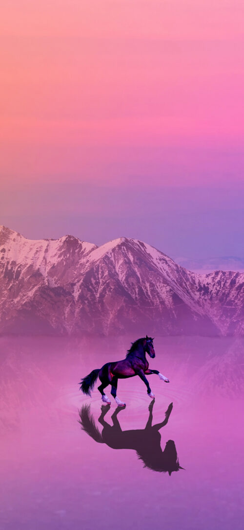 Horse Wallpaper WhatsPaper