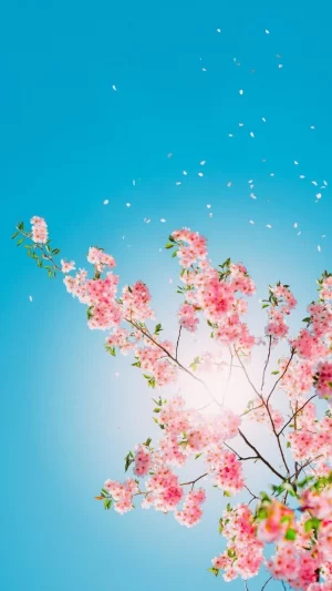 Spring Wallpaper 