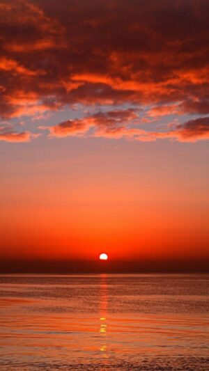 Sunset Wallpaper 