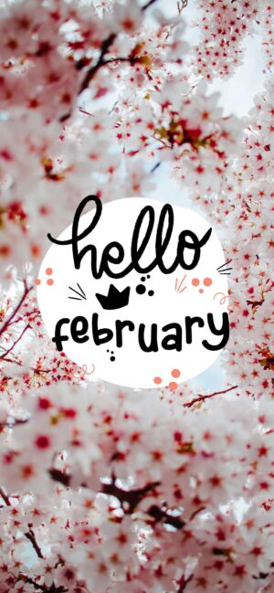 HD Welcome February Wallpaper 