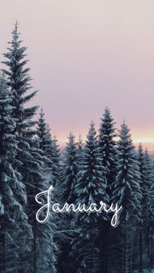 Welcome February Background 