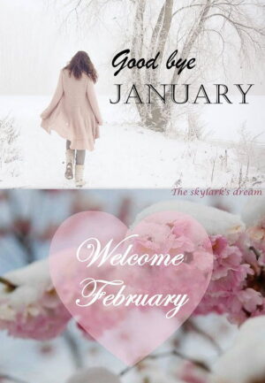 Welcome February Wallpaper