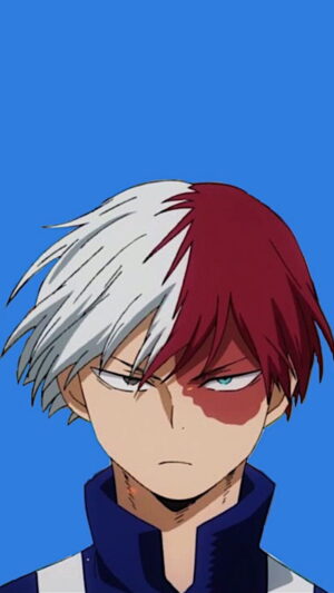 Desktop Shoto Todoroki Wallpaper 