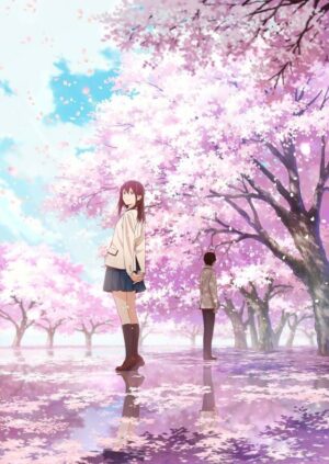 Cherry Blossom Background 