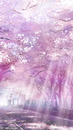 4K Cherry Blossom Wallpaper