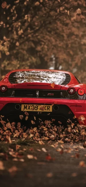 HD Ferrari Wallpaper