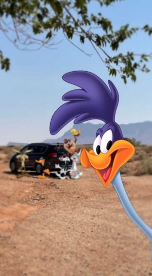 Road Runner Background