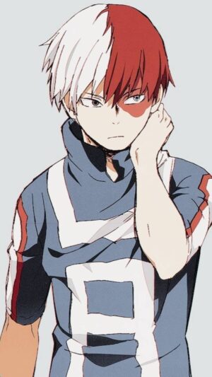 HD Shoto Todoroki Wallpaper 