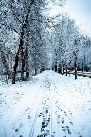 4K Snow Wallpaper 
