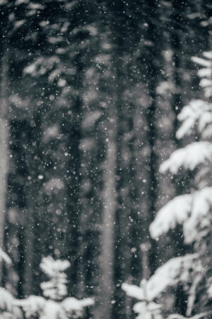 Snow Wallpaper 