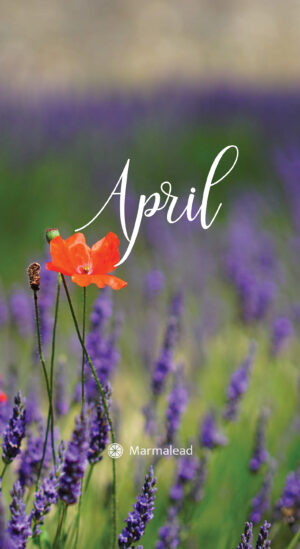 HD April Wallpaper