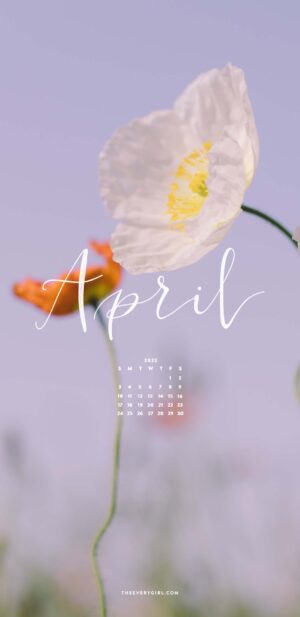 April Wallpaper 