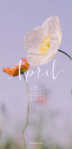 April Wallpaper