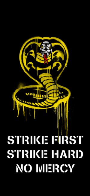 4K Cobra Kai Wallpaper