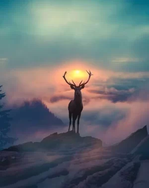 Deer Wallpaper