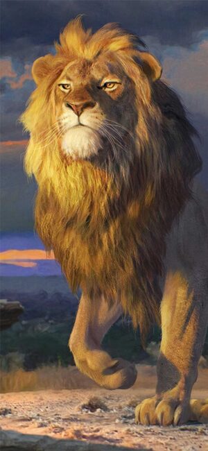 Lion Background 