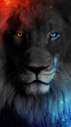 Lion Wallpaper 