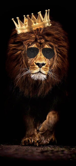 Lion Background