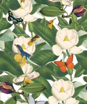 HD Magnolia Wallpaper