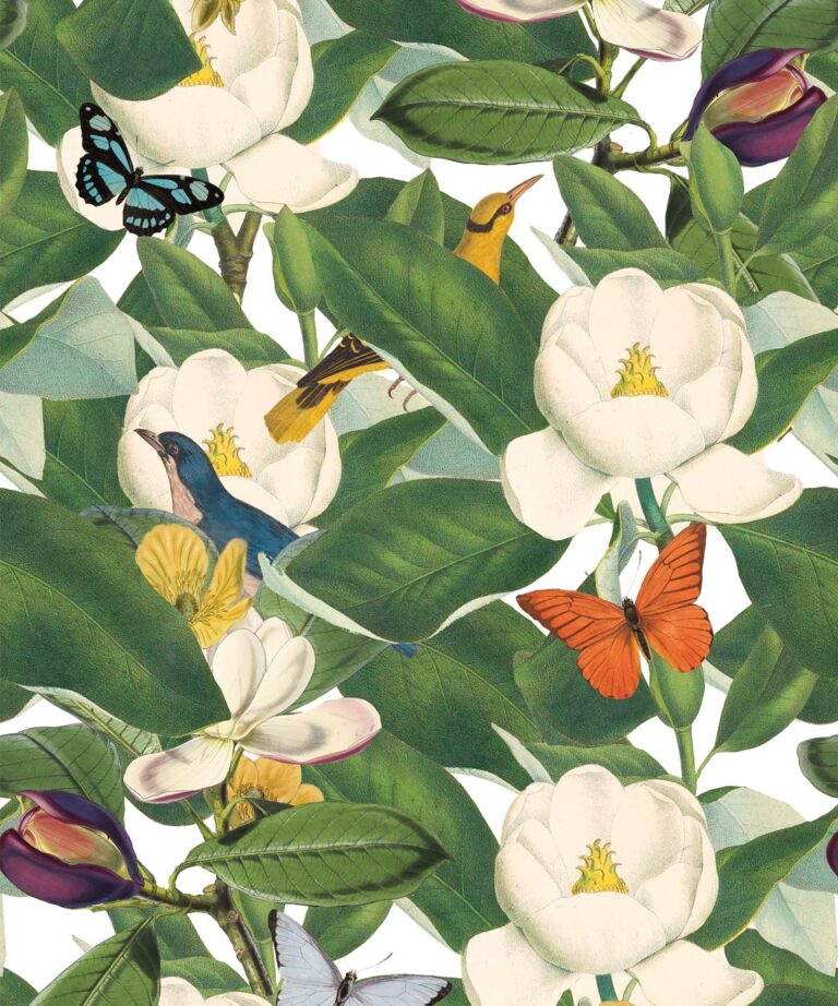 Magnolia Wallpaper WhatsPaper