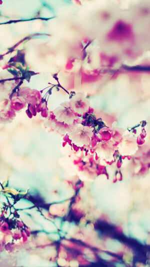 Spring Wallpaper