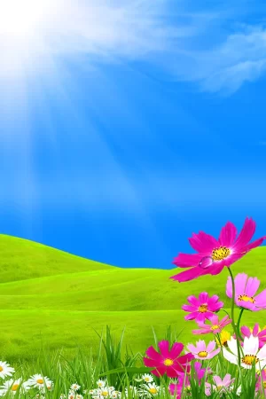 Spring Wallpaper 