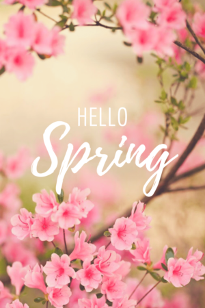 HD Spring Wallpaper