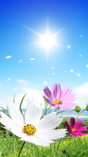 HD Spring Wallpaper 