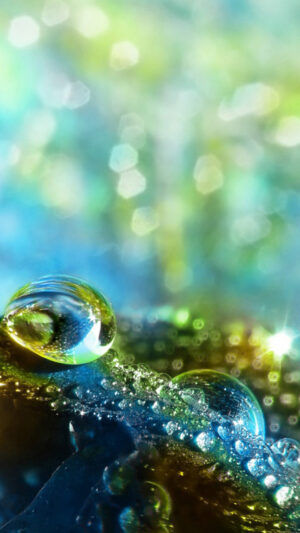 Water Wallpaper