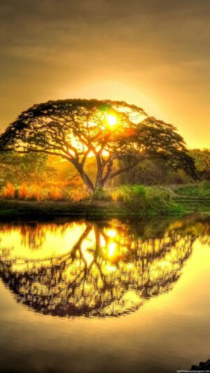 4K Nature Wallpaper 