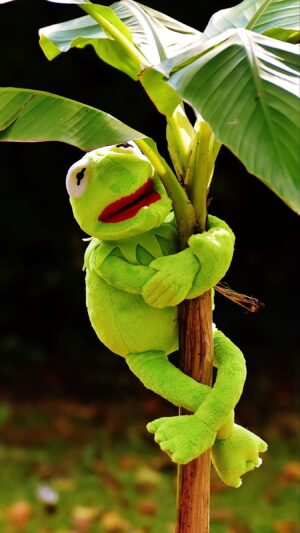 Kermit Background 