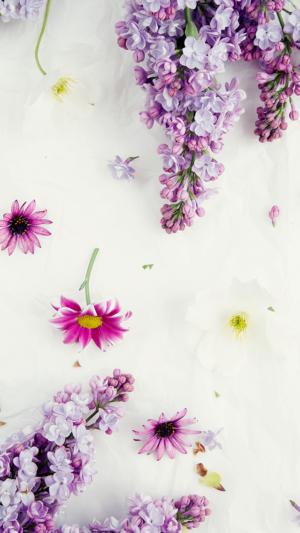 HD Flower Wallpaper 