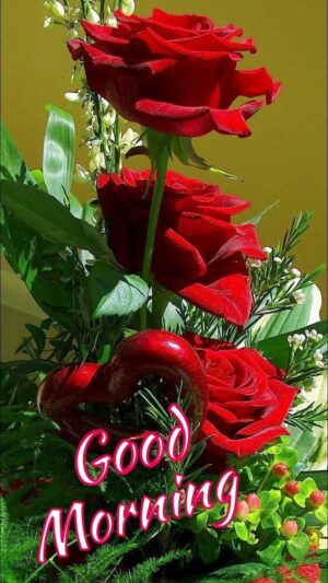 Good Morning Background 