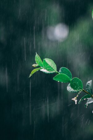 HD Rain Wallpaper